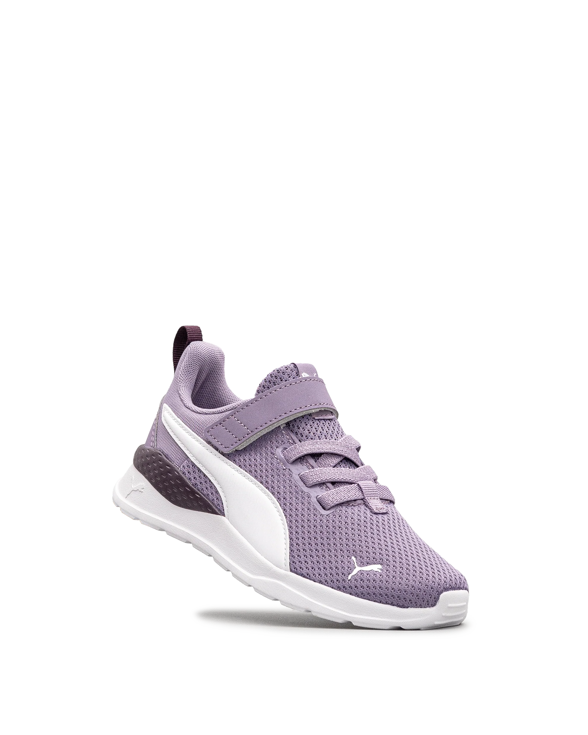 Anzarun lite ps - Lilas fonce - #43E-47