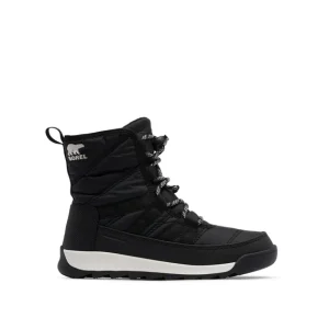 youth whitney ii short - Noir - #61N-1142