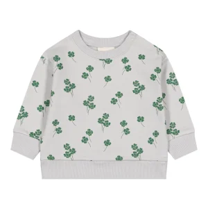 Sweat Bart / Gris trefles