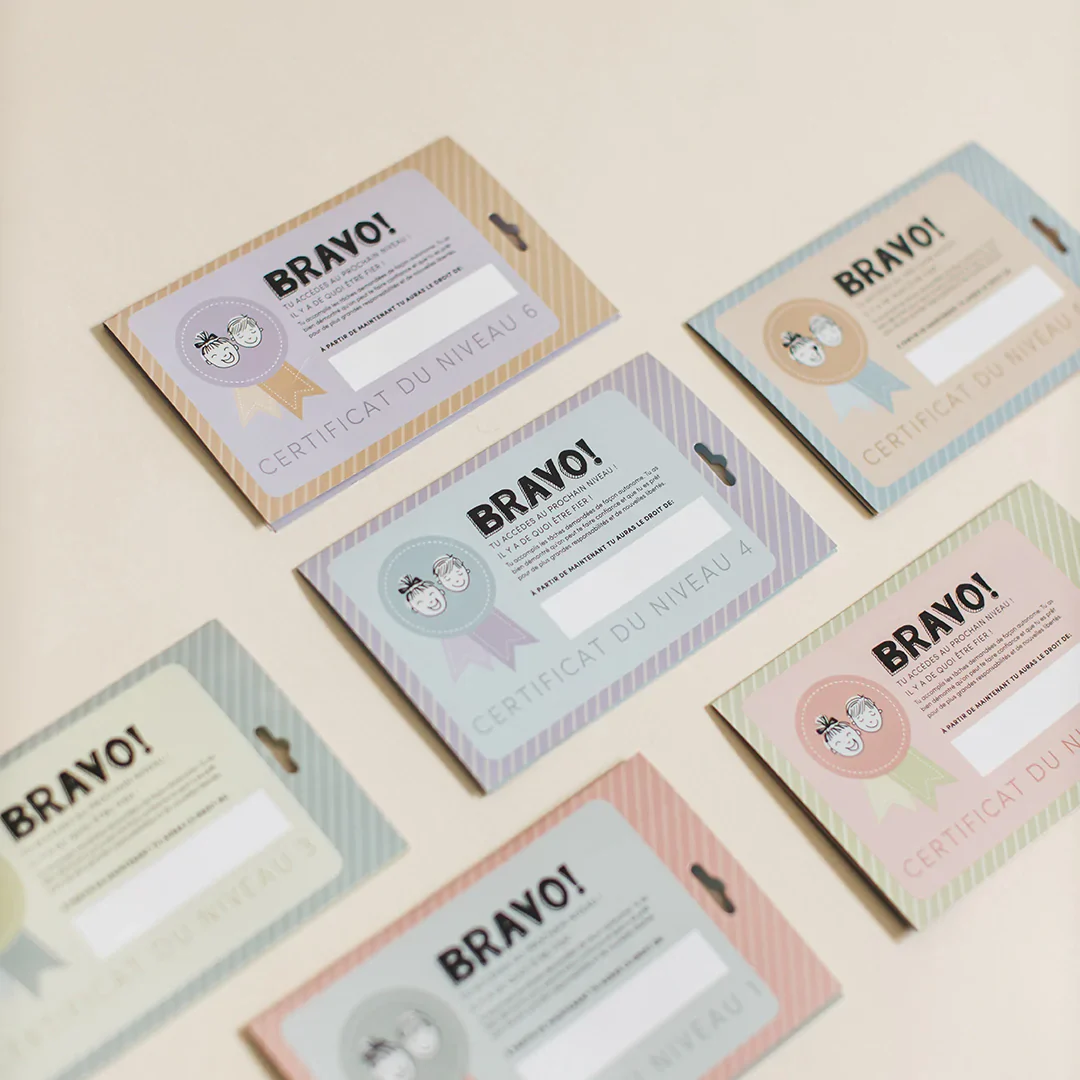 Les Magnétos Petites Missions Tâches De Niveau 3 – Image 5