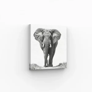 Tableau Élégant Éléphant Majestueux