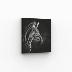 Tableau zèbre monochrome